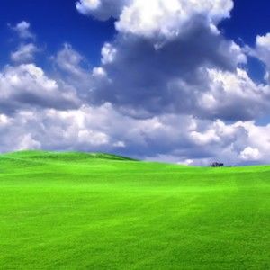 Meet your Posher, Posh